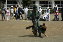警察犬も登場